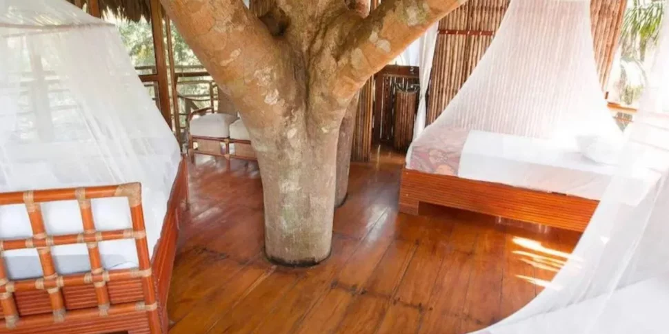 Large interior bedroom space of treehouse at the treehouse lodge in peru.