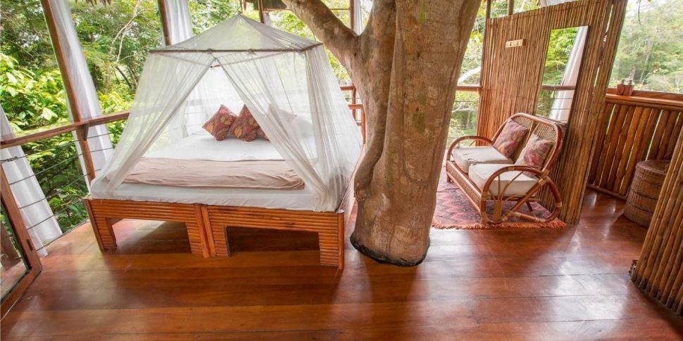 View of internal space of treehouse at the treehouse lodge in peru.