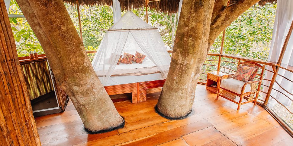 Treehouse lodge in peru dos ramas treehouse interior shot.