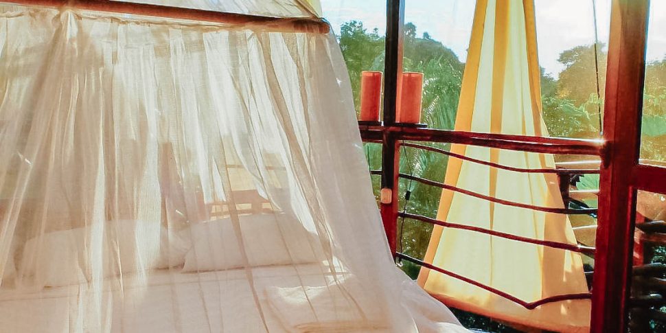 Bedroom space of interior of treehouse at the treehouse lodge in peru.