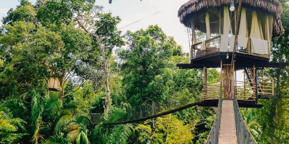 Exterior view of treehouse on connecting rope bridge at the treehouse lodge in peru.