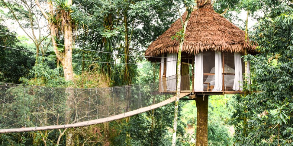 Exterior view of treehouse nestled in trees at the treehouse lodge in peru.