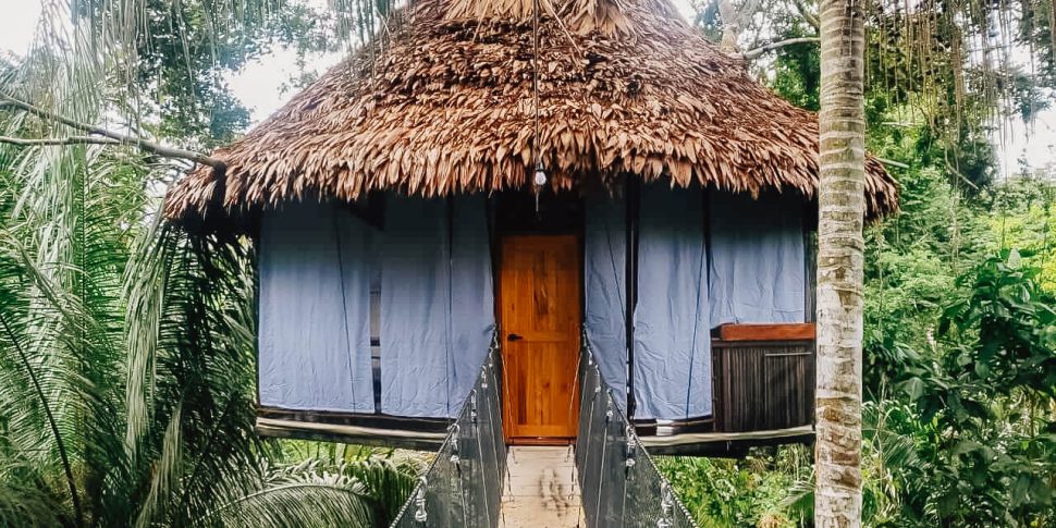 View of the exterior of treehouse with curtains down and connecting rope bridge at the treehouse lodge in peru.