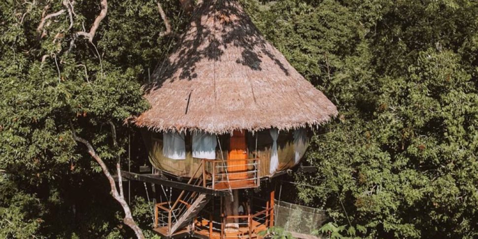 External view of treehouse amongst trees at the treehouse lodge in peru.