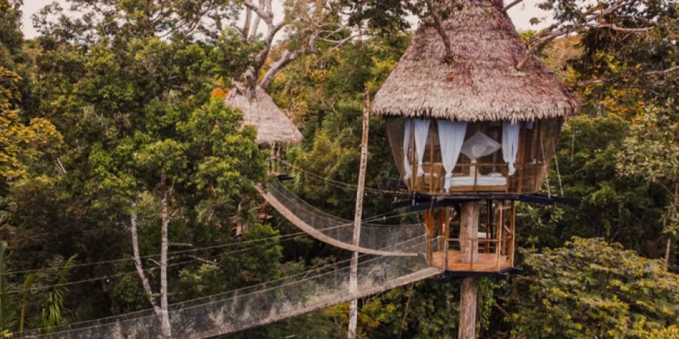 View of treehouse at the treehouse lodge in peru up amongst the trees.