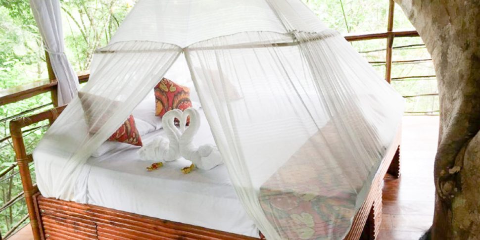 Interior space of treehouse with towels folded into swans on bed at the treehouse lodge in peru.