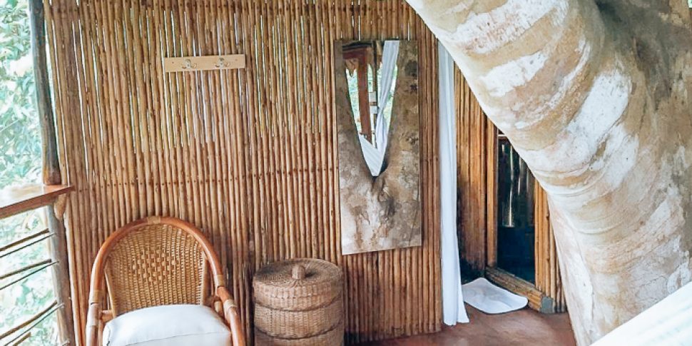 Interior view of treehouse space at the treehouse lodge in peru.