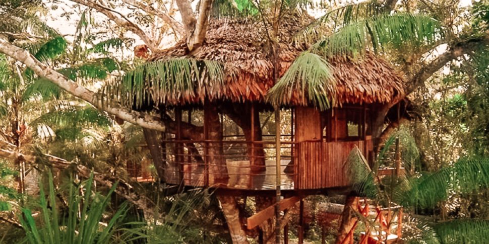 Newly added treehouse at the treehouse lodge in peru.