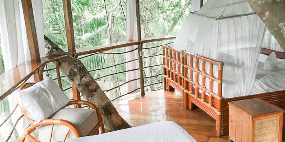 Interior of bedroom space of treehouse at the treehouse lodge in peru.