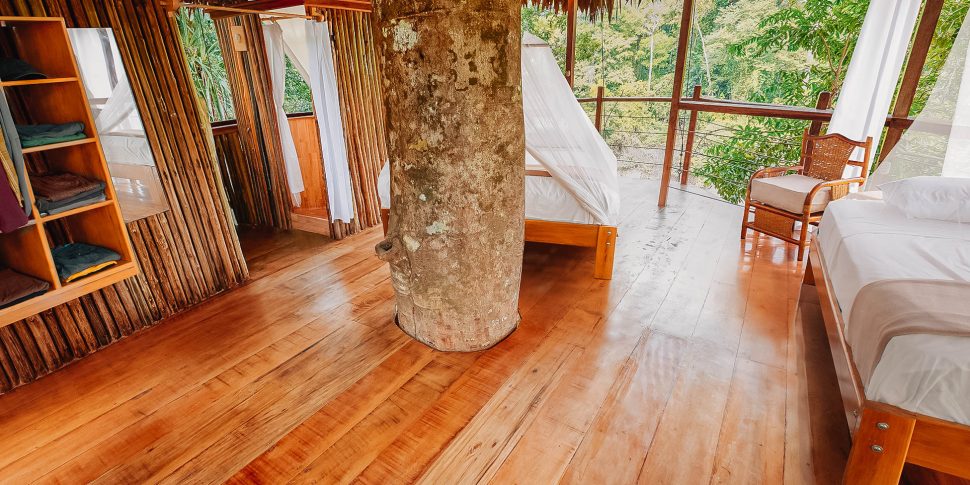 Wider view of bedroom and living space of treehouse at the treehouse lodge in peru.