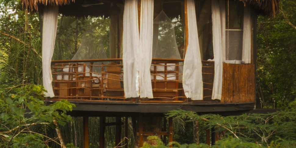 External shot of treehouse at the treehouse lodge in peru.