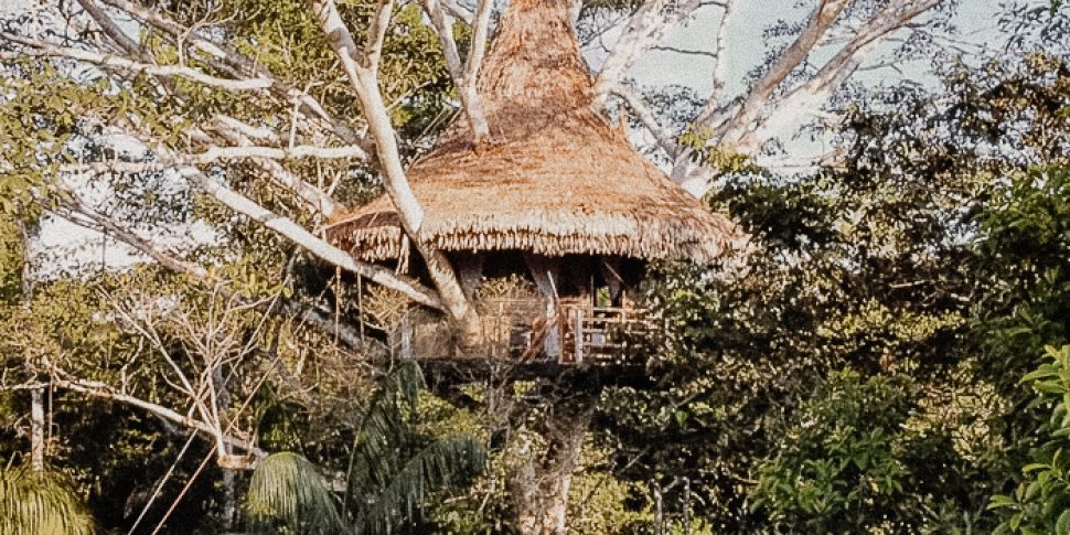 Exterior view of treehouse at the treehouse lodge in peru.