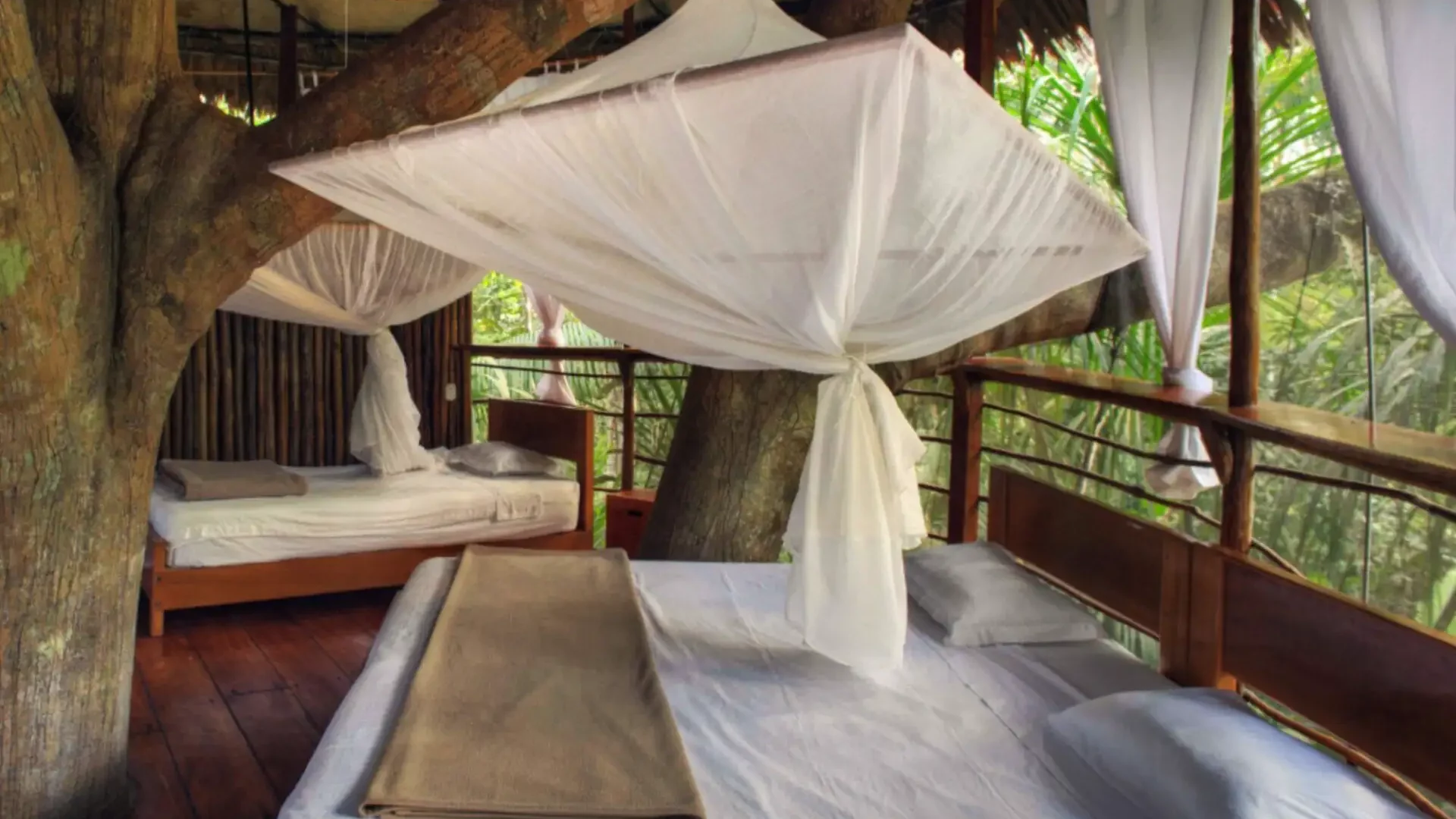 Tied up mosquito net above bed in the bamboo house treehouse at the treehouse lodge.