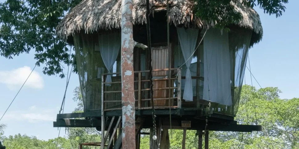 View of the outside of casa alta treehouse at the treehouse lodge in peru.