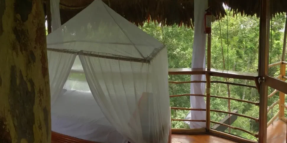 Bed with mosquito netting in the casa alta treehouse at the treehouse lodge in peru.