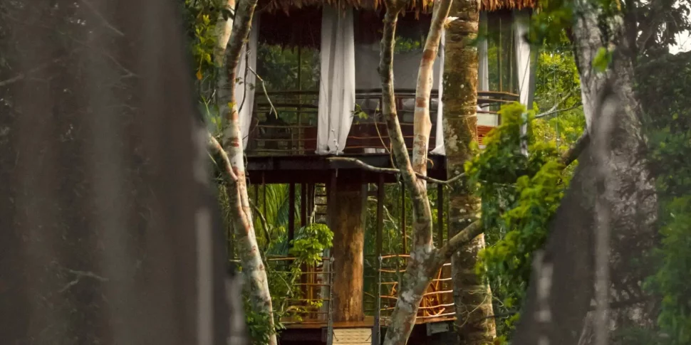 View of casa alta treehouse from across one of the connected rope bridge at the treehouse lodge in peru.