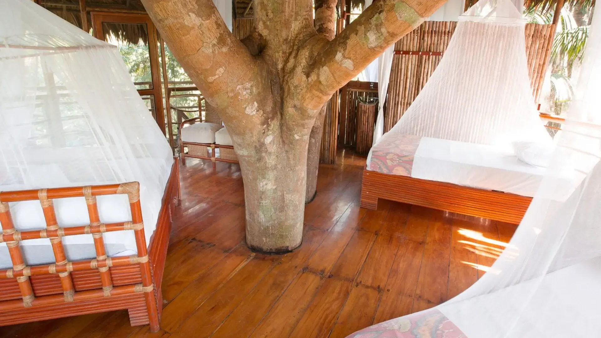 casa_grand_treehouse-2