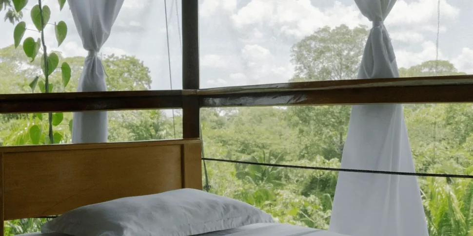 Single bed in the casa grande treehouse with view of surrounding trees at the treehouse lodge in peru.