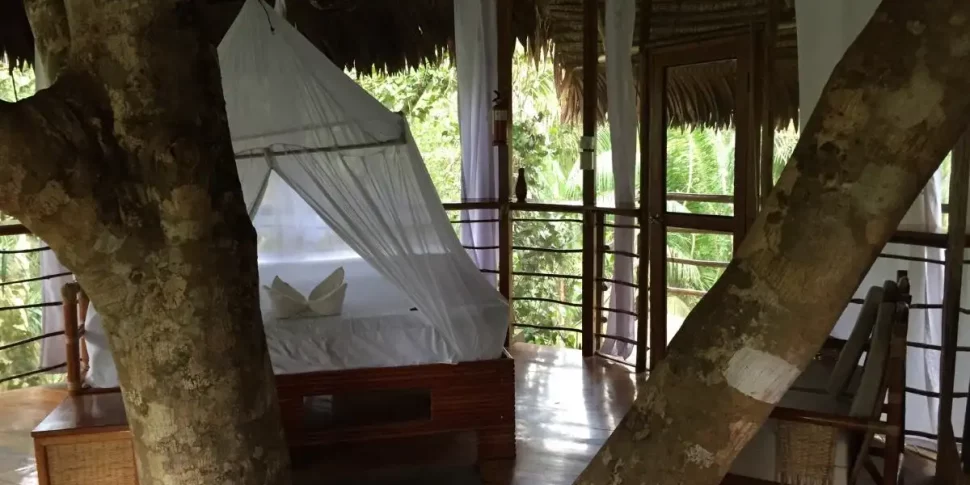 Bed with center tree support in side the casa grande treehouse at the treehouse lodge in peru.