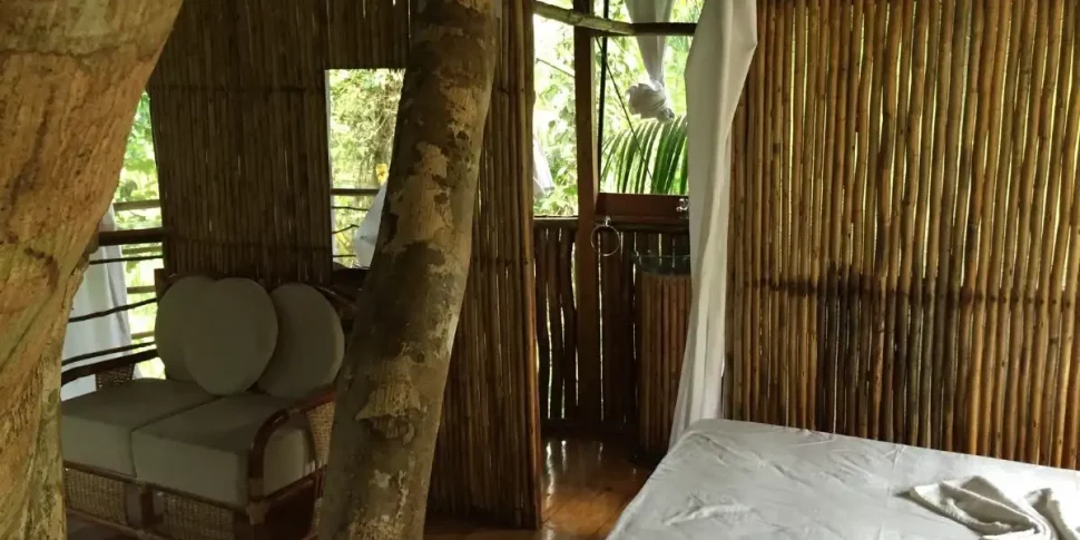 Interior space of the casa grande treehouse at the treehouse lodge in peru.