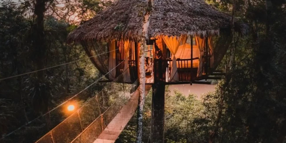 View of the costa bella treehouse at sunset at the treehouse lodge in peru.