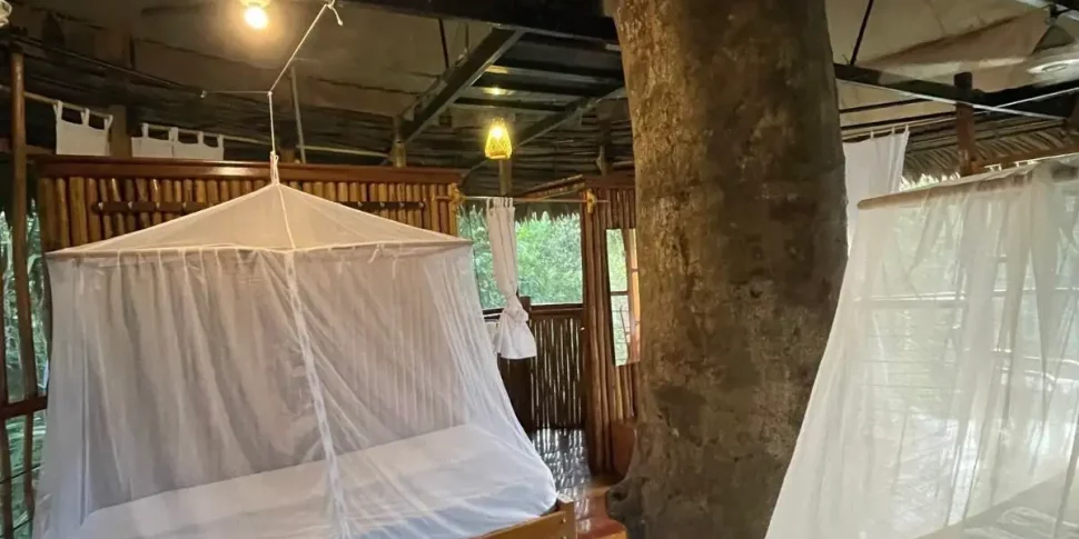 Beds in the costa bella treehouse at the treehouse lodge in peru.