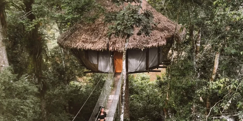 Guest admiring jungle trees on rode bridge connected to the costa bella treehouse at the treehouse lodge in peru.