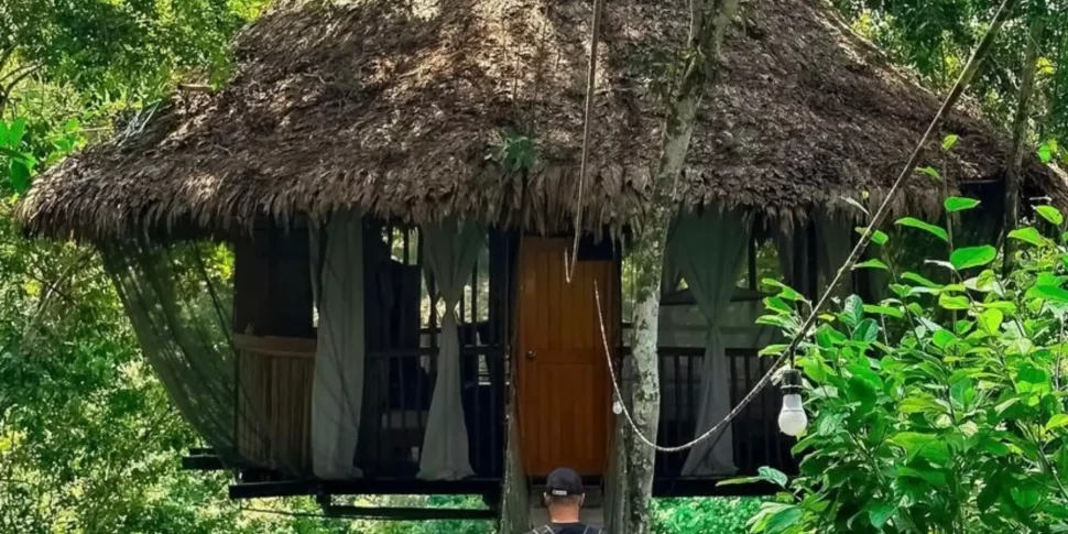 Guest heading to the costa bella treehouse at the treehouse lodge in peru.