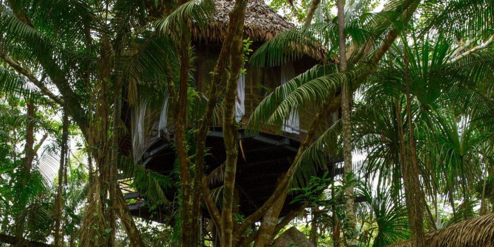 dos_ramas_treehouse-1