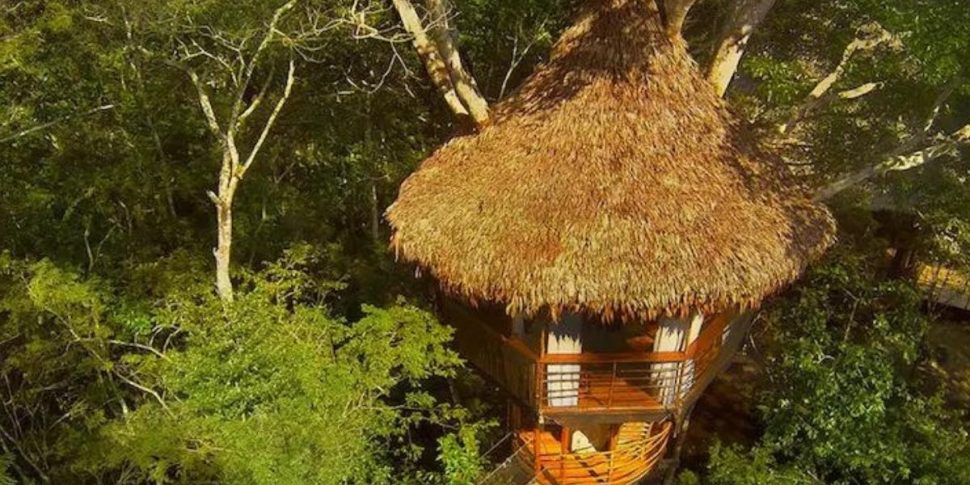 dos_ramas_treehouse-2