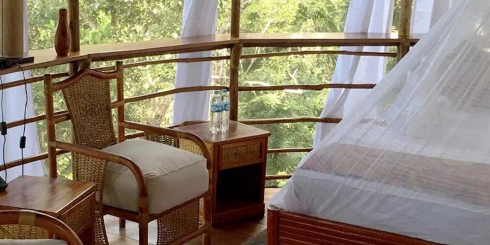 dos_ramas_treehouse-3