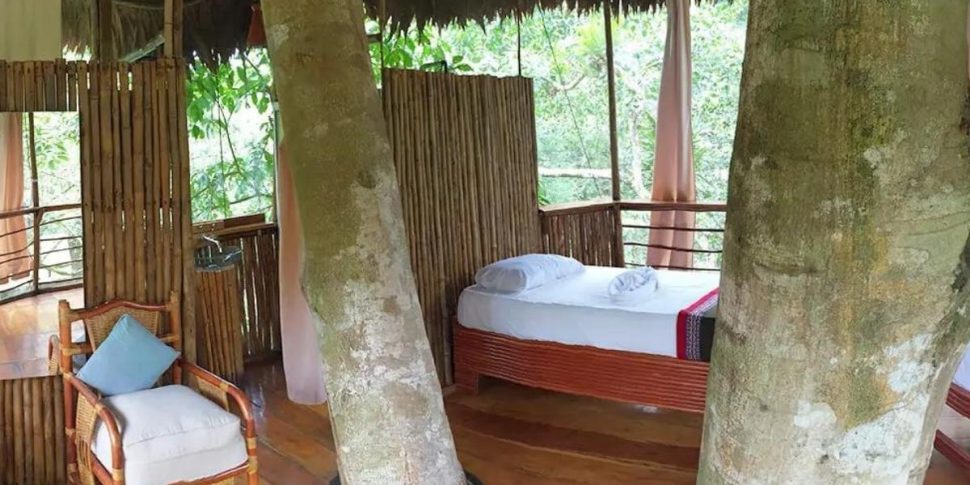 dos_ramas_treehouse-4