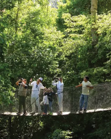 family_watching_amazon_nature