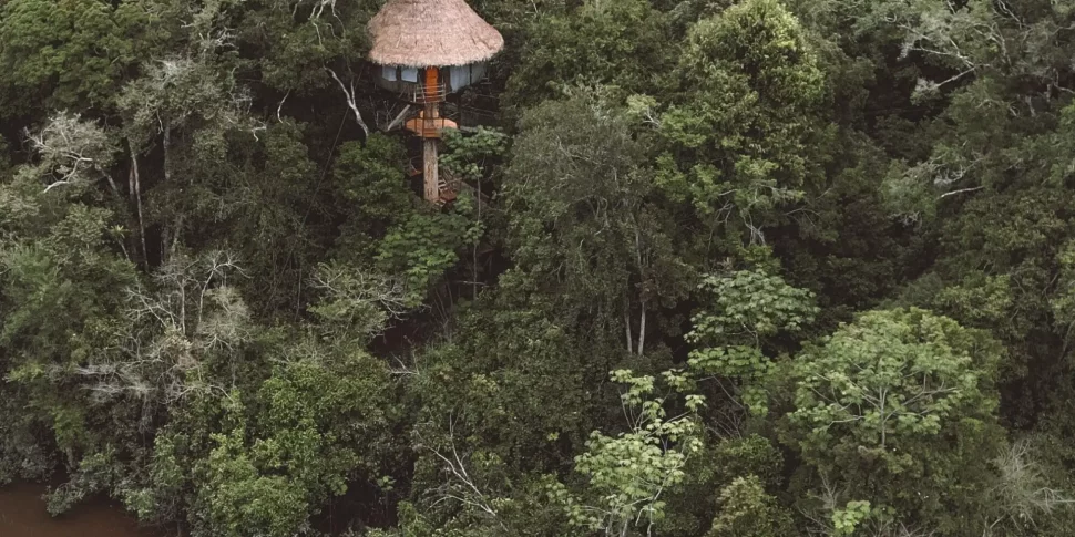 Rio vista treehouse over looking the yarapa river at the treehouse lodge in peru.