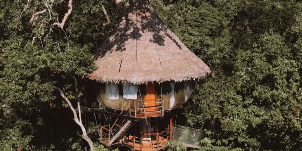 View of the third treehouse available at the treehouse lodge in peru named the rio vista.