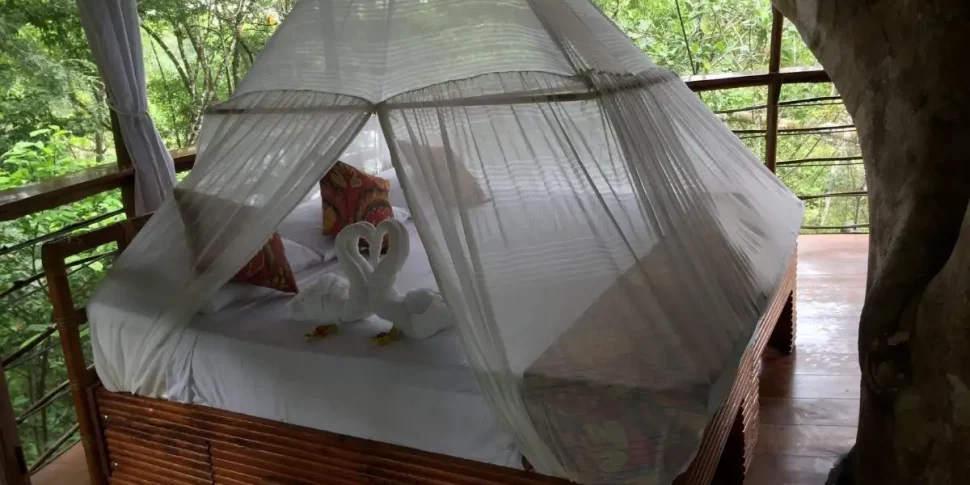 Folded swans from towels on the bed of the rio vista treehouse at the treehouse lodge in peru.