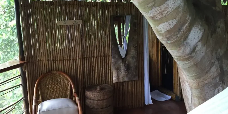 Separator wall in rio vista treehouse with wall hooks chair and basket at the treehouse lodge in peru.