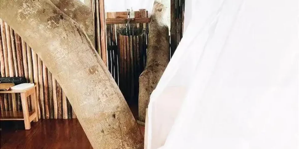 Soledad treehouse interior space at the treehouse lodge in peru.