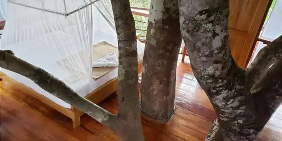 Internal space and view from above of the soledad treehouse at the treehouse lodge in peru.