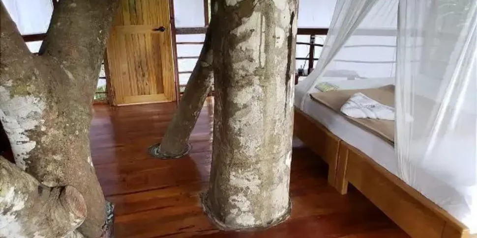 Internal space of soledad treehouse with bed at the treehouse lodge in peru.