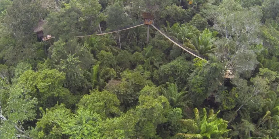 Aerial view of multiple treehouses at the treehouse lodge in peru.