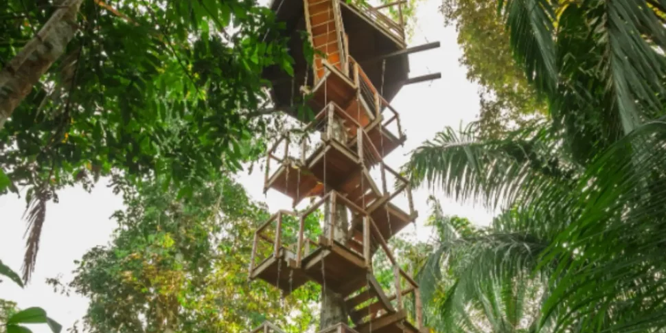 View of the cradle treehouse at treehouse lodge.