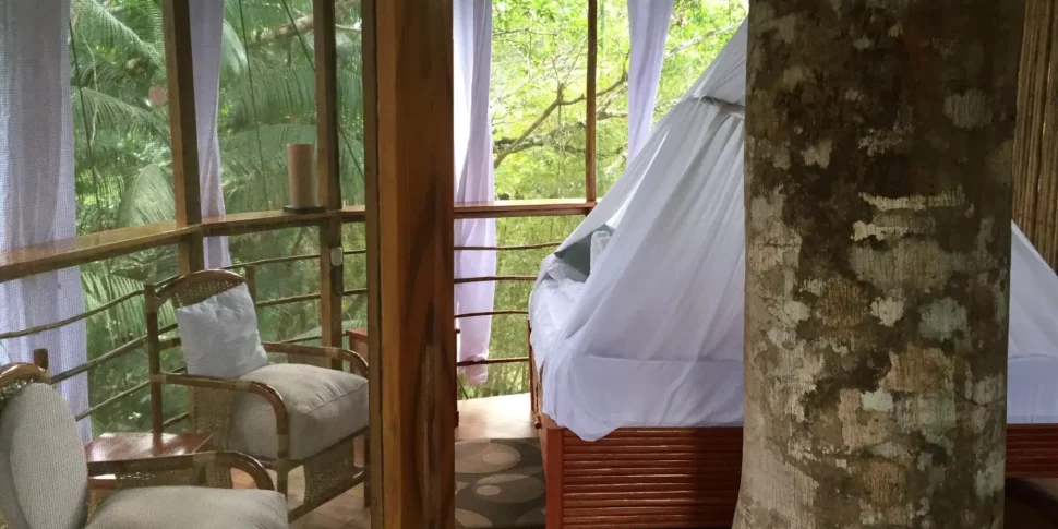 Interior space of the cradle treehouse at the treehouse lodge in peru.