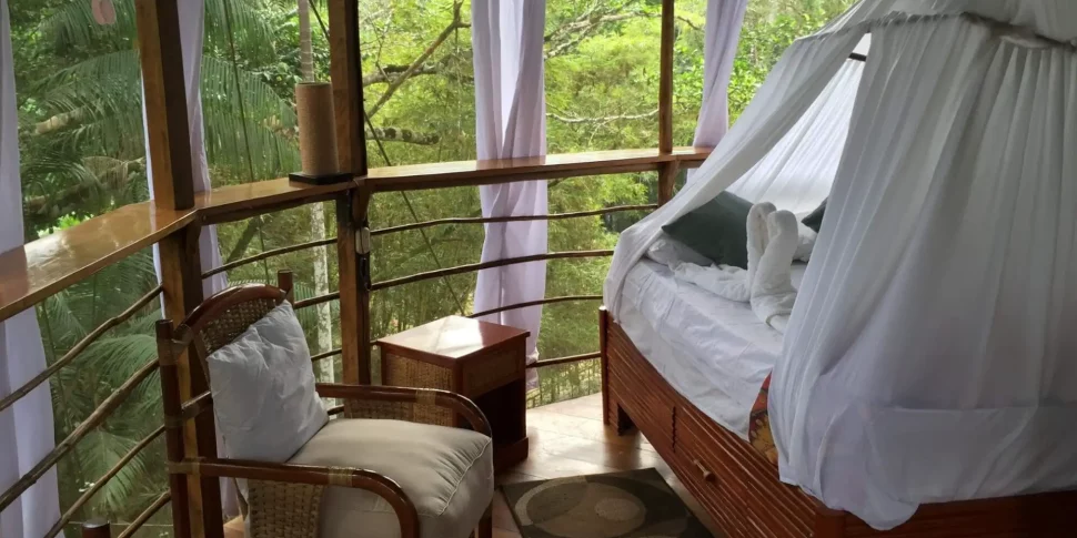 Bed with towels folded into swans next to small seating area at the treehouse lodge in peru.