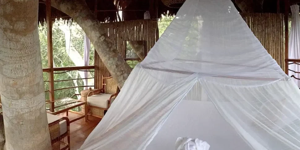 Bed inside the cradle treehouse with mosquito net at the treehouse lodge in peru.